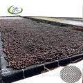 Plastic Mesh for Drying Bed Plastic Mesh For Coffee Beans Drying Bed Supplier